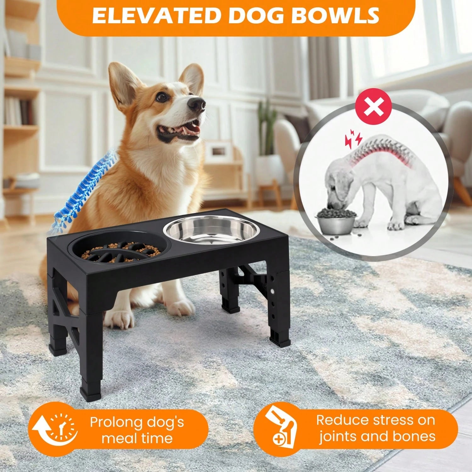 5-Level Adjustable Raised Dog Bowl Set with Slow Feeder & 2 Stainless Steel Bowls | Elevated Anti-Choke Feeding Station for Dogs & Cats of All Sizes