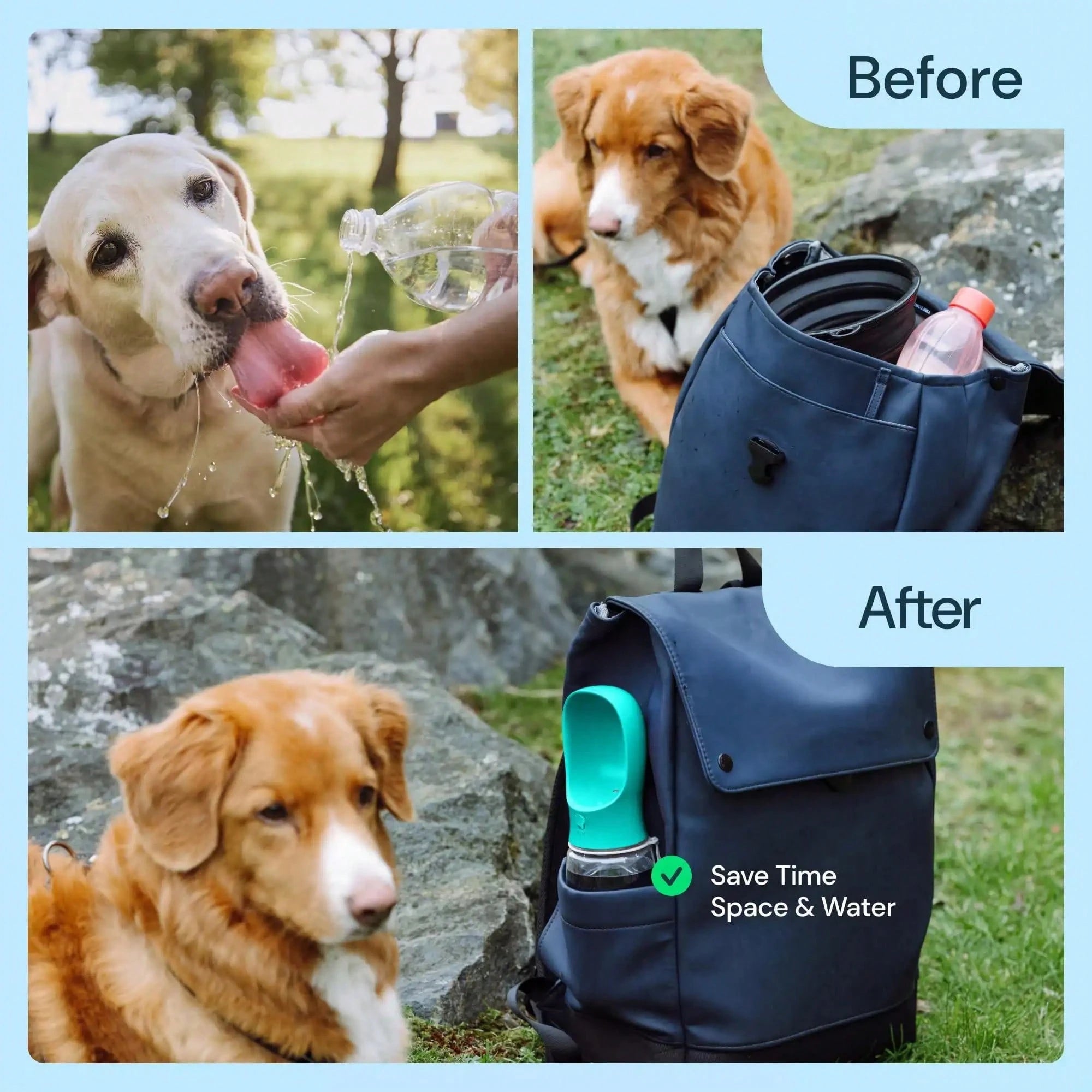 Portable Dog Water Bottle with Food Container & Collapsible Bowl | 3-in-1 Travel Pet Water Dispenser for Dogs & Cats